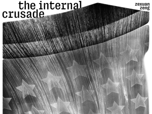 THE INTERNAL CRUSADE