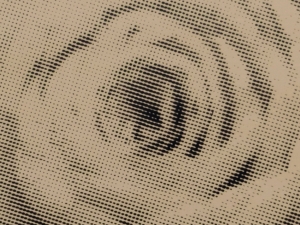 wandernde Flora