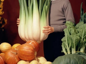NEW FARMER