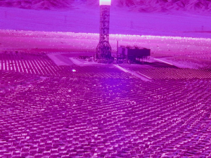 The Sky is a Singing Swarm