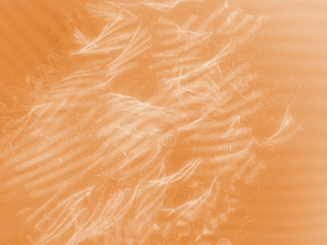 Proteopoesie, oder: In kleinsten Wellen