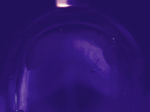 ghostwriter drowning