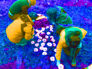 Leman Sevda Darıcıoğlu: Mourning in Laughter